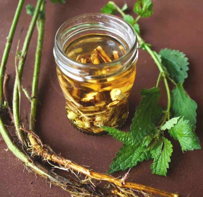 Nettle